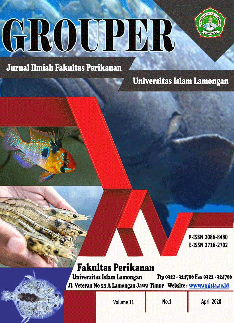 					View Vol. 11 No. 1 (2020): Grouper : Jurnal Ilmiah Fakultas Perikanan Universitas Islam Lamongan
				